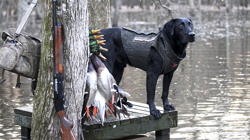 Welcome Hunting Sign Labrador Fishing Deer Hunting Duck Hunting