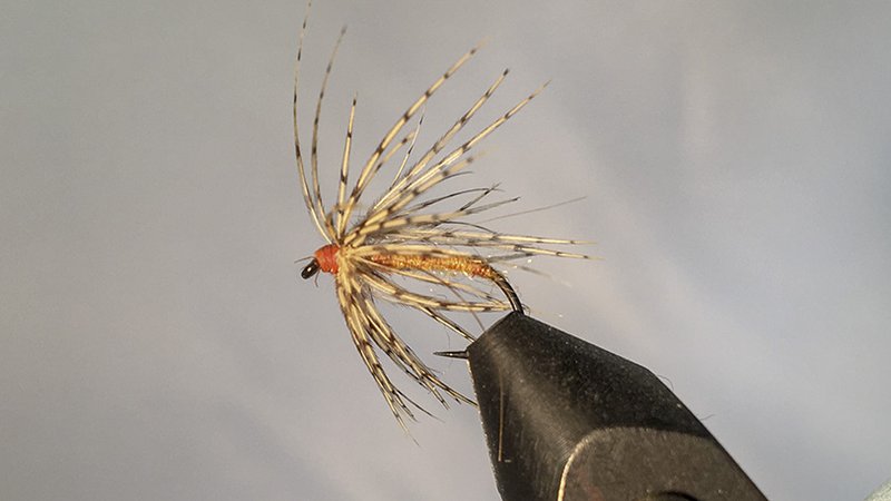 Wildcard Soft Hackle - Fly Tying Tutorial – The Northern Angler Fly Shop