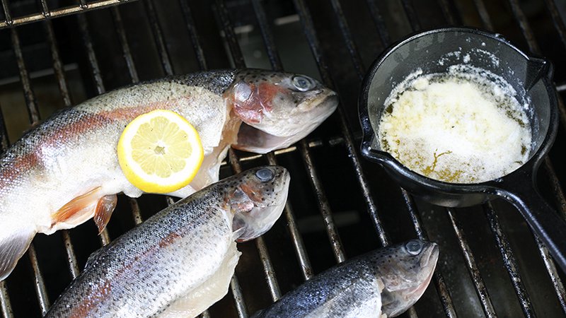 OUTDOORS: Camp cooking  The Arkansas Democrat-Gazette - Arkansas' Best  News Source