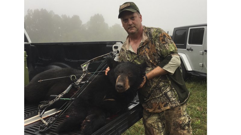 Archery bear hunt quota met in Zone 1 • Arkansas Game & Fish Commission