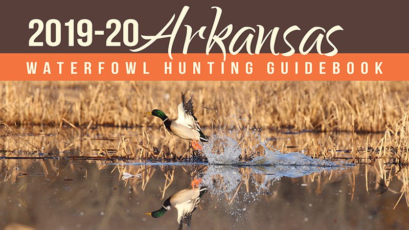 2019-20 Arkansas Waterfowl Hunting Guidebook available online ...