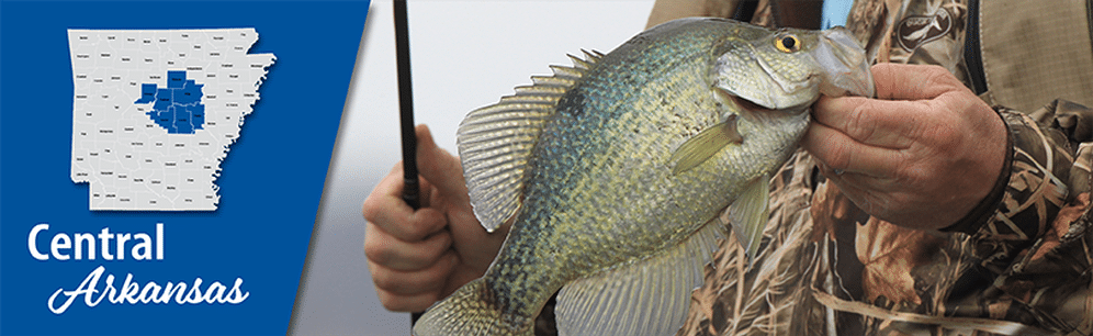 Dry Panfish Pee Wee Popper Chartreuse - The Trout Spot