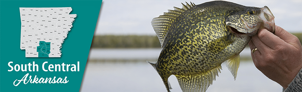 How to make a wooded micro lure Step-By-Step, Making a crappie