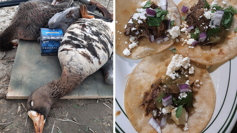 JBB Tacos e Acessórios, Loja Online