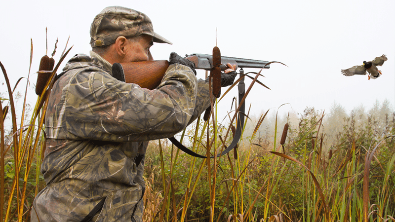 Seniors, Veterans, and Active Duty Military Hunting and Angling