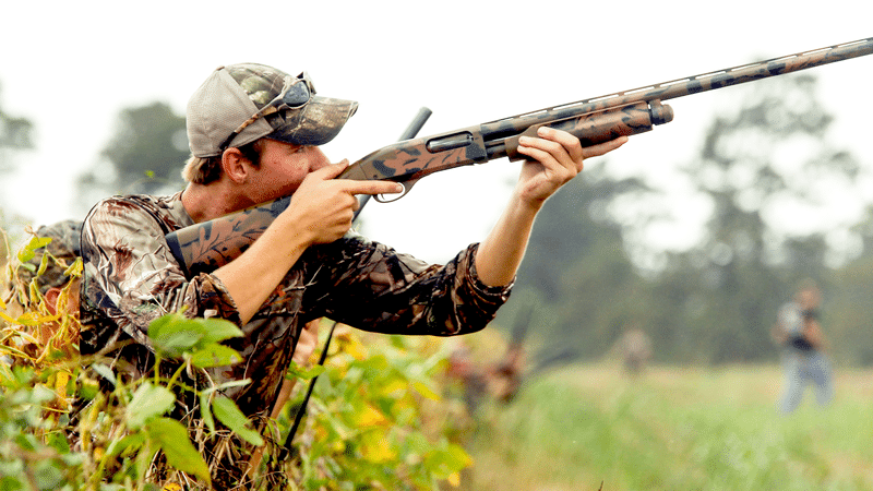 Public options for dove season • Arkansas Game & Fish Commission