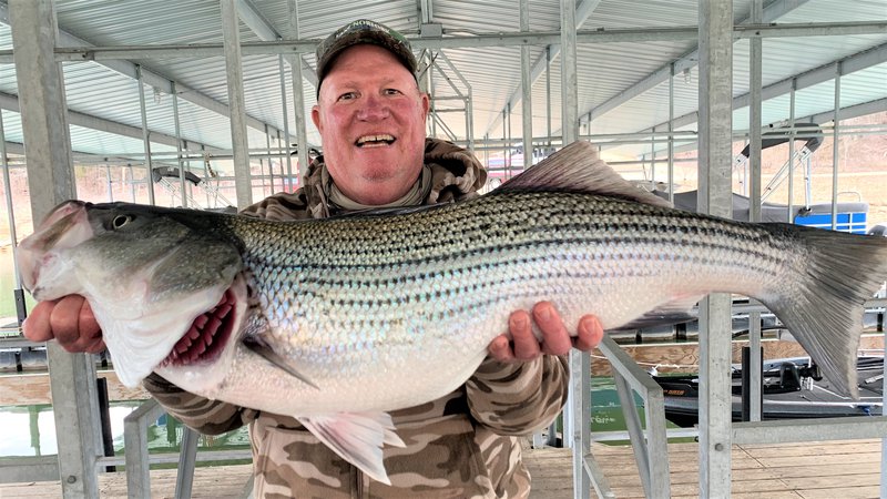 Striped Bass Hybrid Catch and Cook  Dam Spillway Fishing Edition - OOW  Outdoors 
