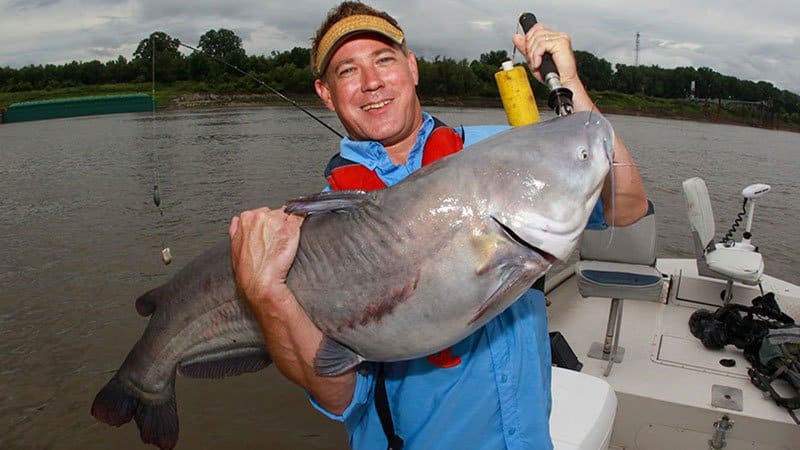 All About Catfish - In-Fisherman
