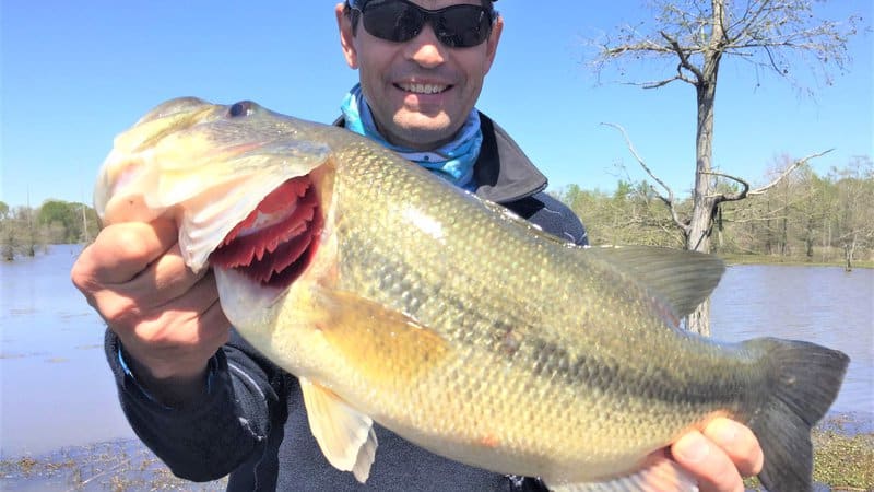 Topwater bass fishing has Lake Marion anglers feeling like they've