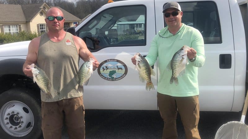 TEAMING UP ON CRAPPIE  Northwest Arkansas Democrat-Gazette