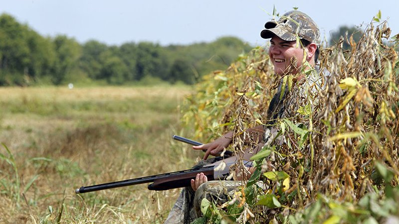 Apply for an Arkansas private land dove hunt August 1-15 • Arkansas ...