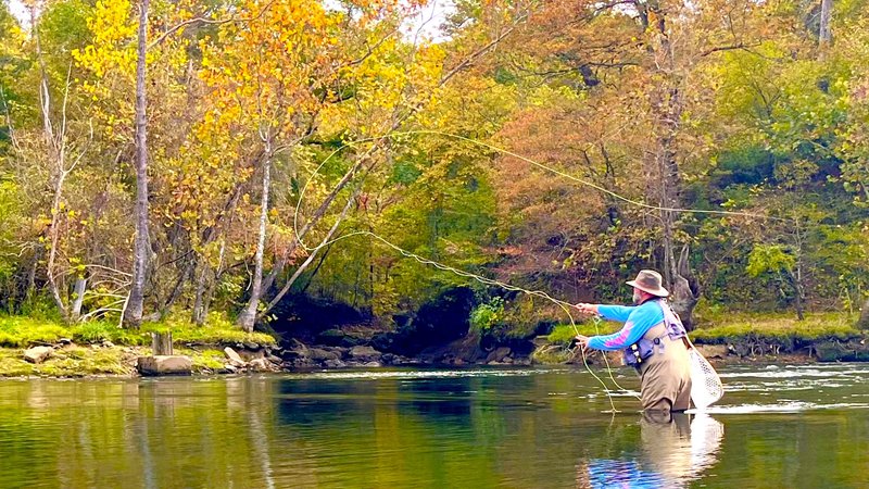 Fishing for beginners  Northwest Arkansas Democrat-Gazette
