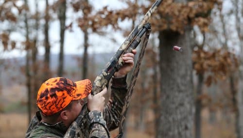 https://www.agfc.com/wp-content/uploads/2023/10/squirrel_hunting_17328__500x285_q85_crop_subsampling-2.jpg