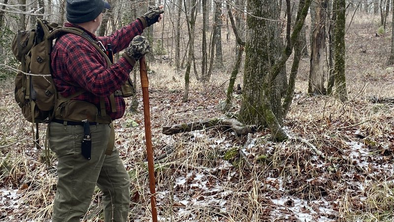 Shed hunting: Wandering in the woods with purpose • Arkansas Game ...