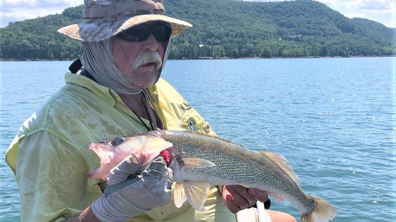 Pack a Punch With Crawler Harnesses for Walleye