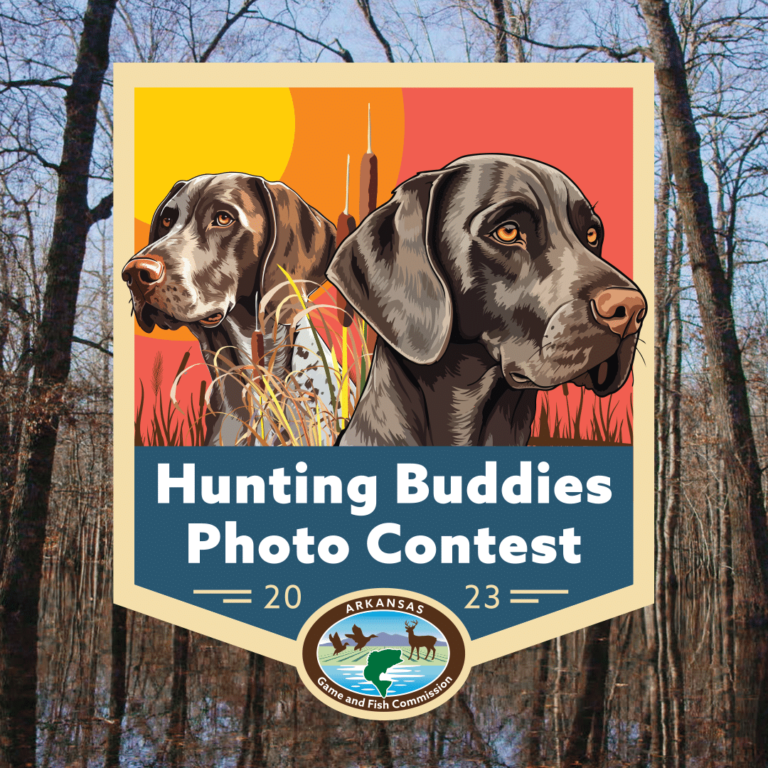 Share your favorite hunting buddy image from this season with the AGFC