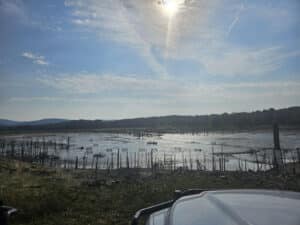 Lake Wilhelmina Update August 21